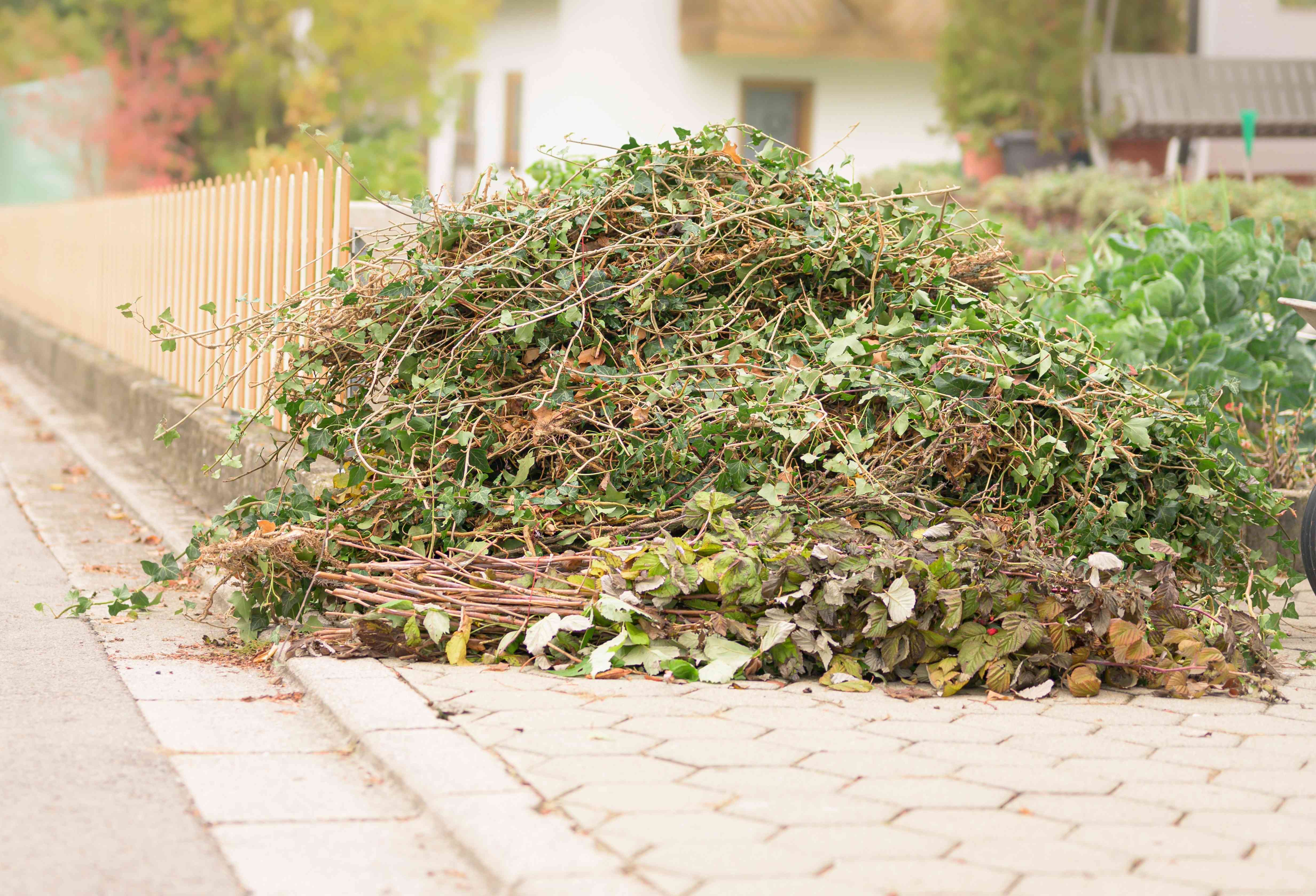 Tas branchages compressé